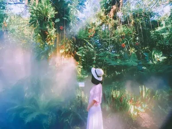 厦门自助游旅行攻略,厦门旅游攻略五日自助游攻略最新