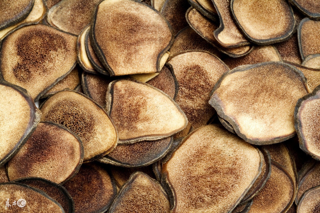 鹿茸与枸杞泡水的功效与作用吃法,云南鹿茸菇的功效与作用吃法大全