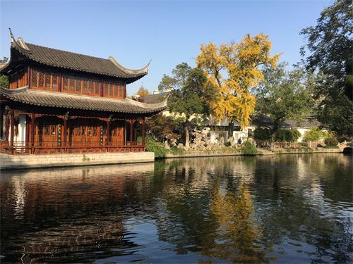 这棵银杏树，经历过湘军烧毁太平天国天王府的那把大火吗？