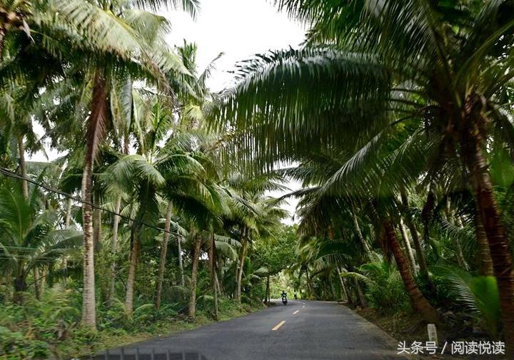 海南东郊椰林旅游攻略,海南静谧的椰林
