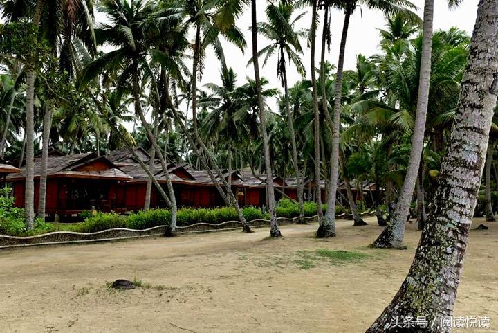 海南东郊椰林旅游攻略,海南静谧的椰林
