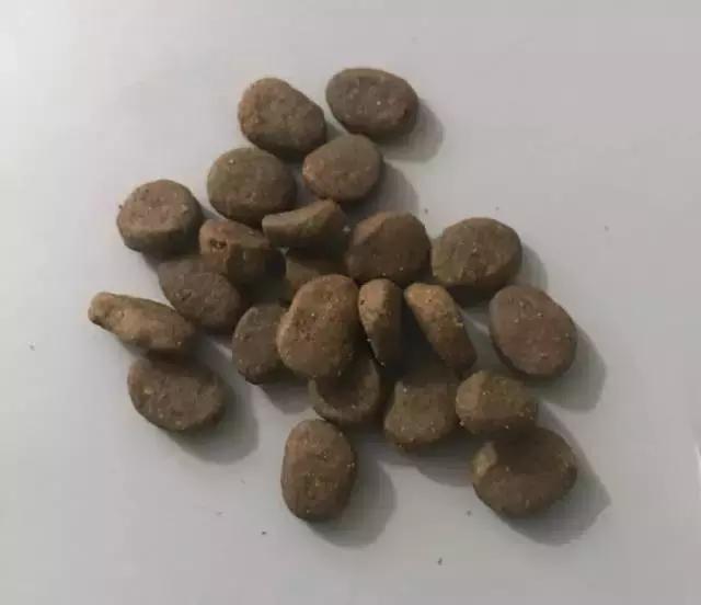 铲屎官们推荐一款便宜好狗粮,铲屎官猫粮测评