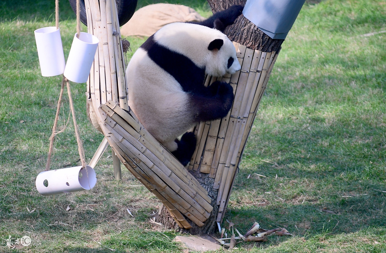 沈阳免费适合冬季带孩子玩的地方,沈阳冬季一日游必去的景点有哪些