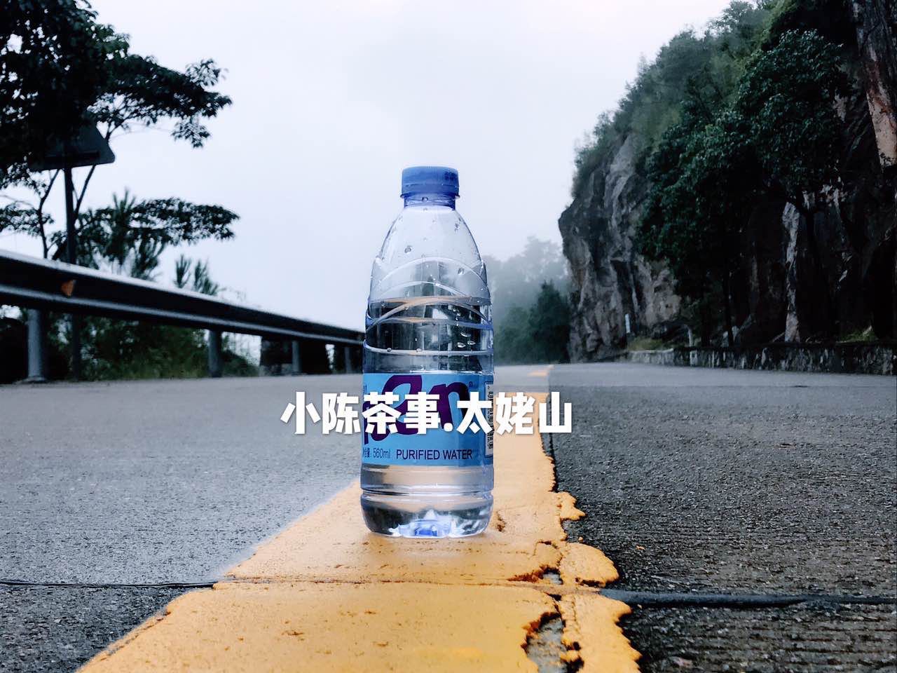 想了解白茶，花五分钟读完白茶这十个特点！