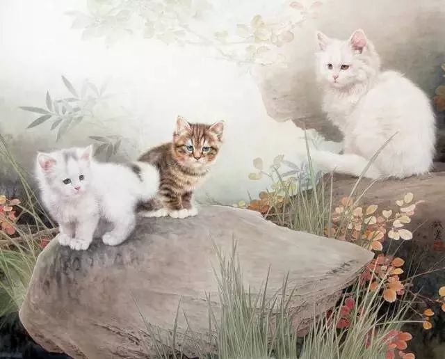 邢诚爱工笔猫扑蝶画法,邢诚爱工笔画猫白描底稿