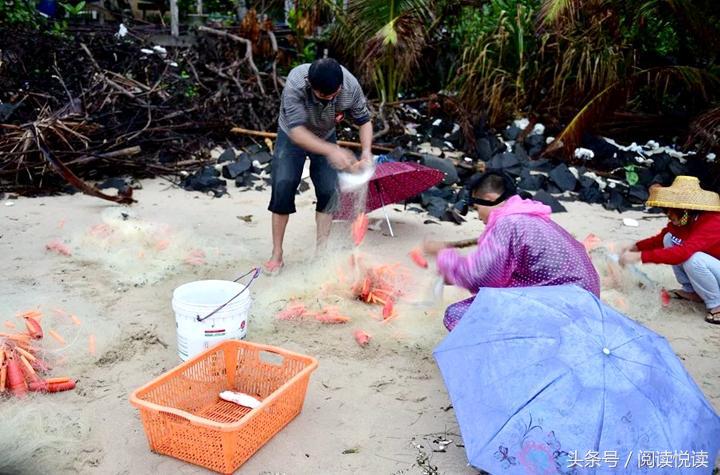 海南东郊椰林旅游攻略,海南静谧的椰林