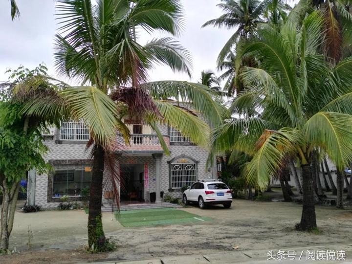 海南东郊椰林旅游攻略,海南静谧的椰林