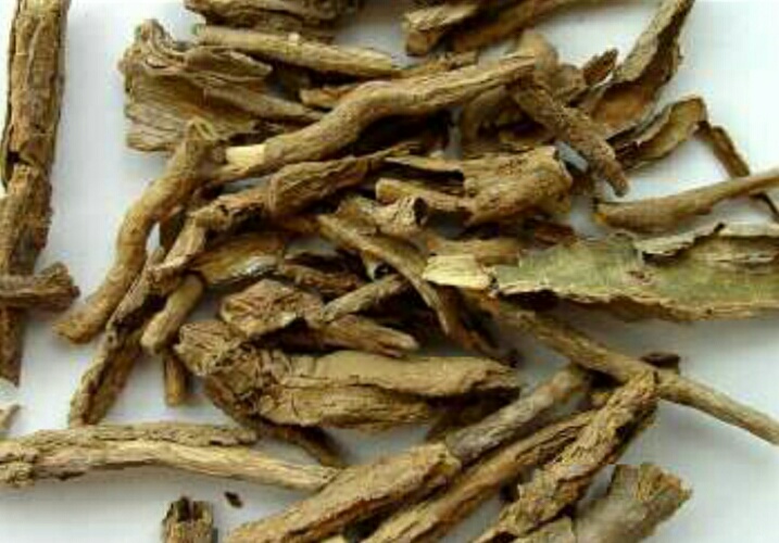 农村地头带刺的植物,农村这种最不起眼的植物