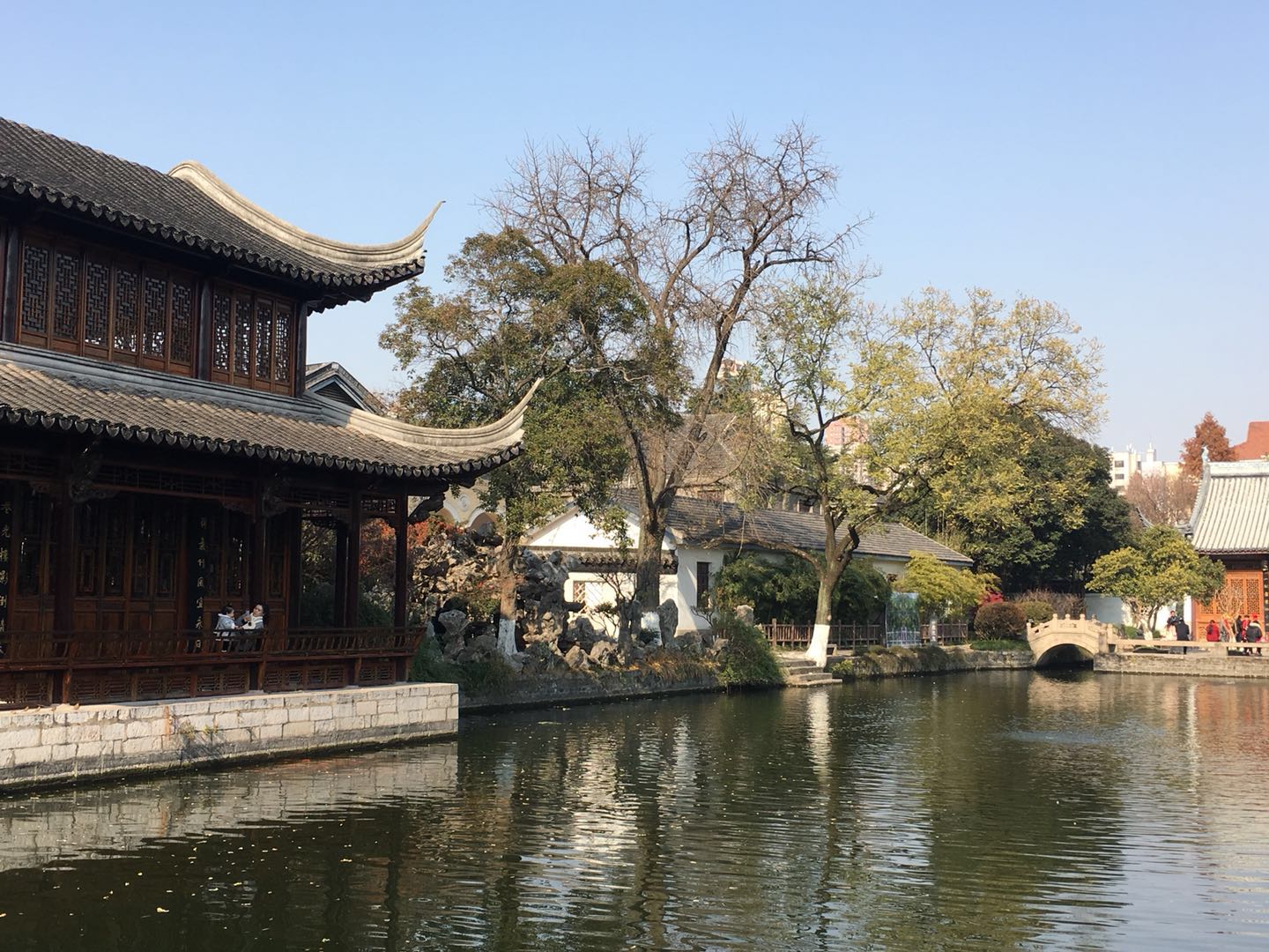 这棵银杏树，经历过湘军烧毁太平天国天王府的那把大火吗？