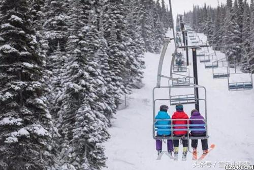 新手滑雪危险有多严重,科普滑雪安全您了解多少