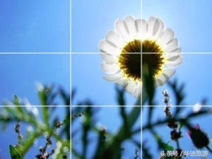 忘掉剪刀手吧！我偷师学艺来养你！