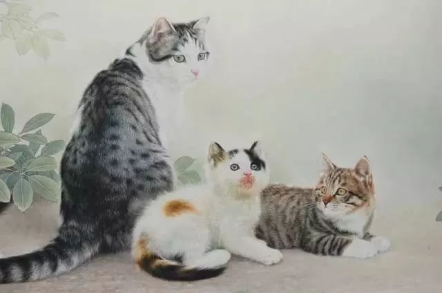 邢诚爱工笔猫扑蝶画法,邢诚爱工笔画猫白描底稿