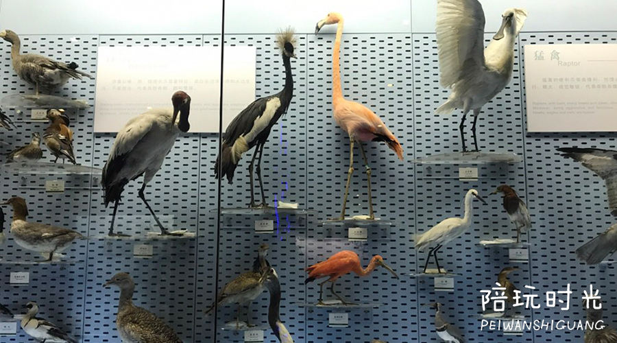 杭州哪里适合带小孩子去玩,杭州值得带孩子去玩的地方