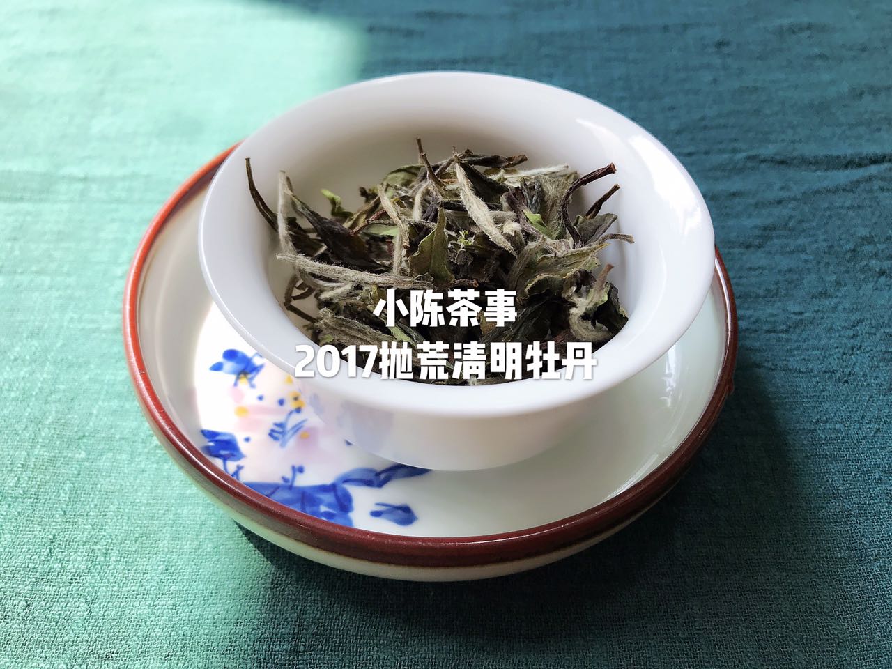 想了解白茶，花五分钟读完白茶这十个特点！