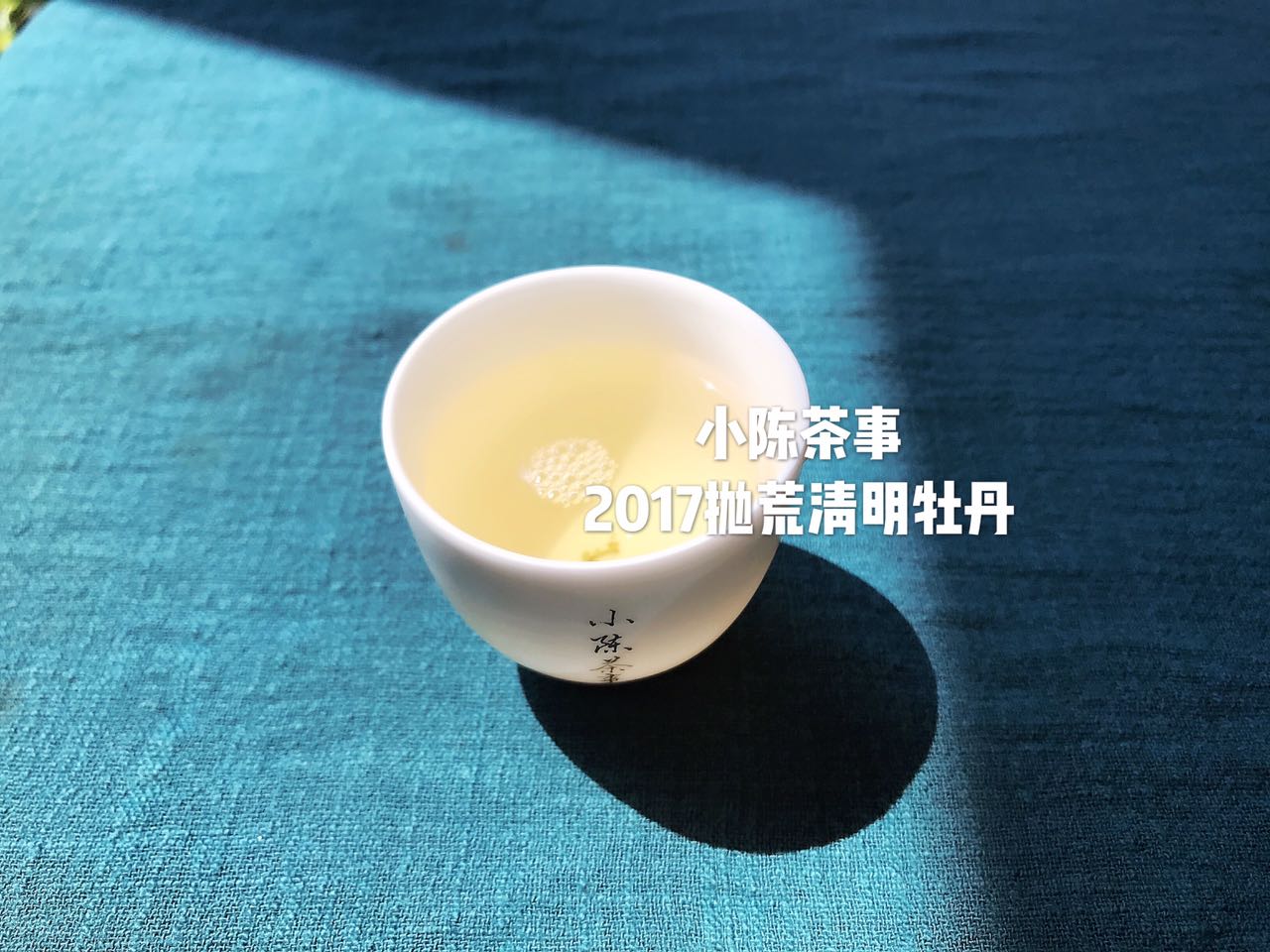 想了解白茶，花五分钟读完白茶这十个特点！