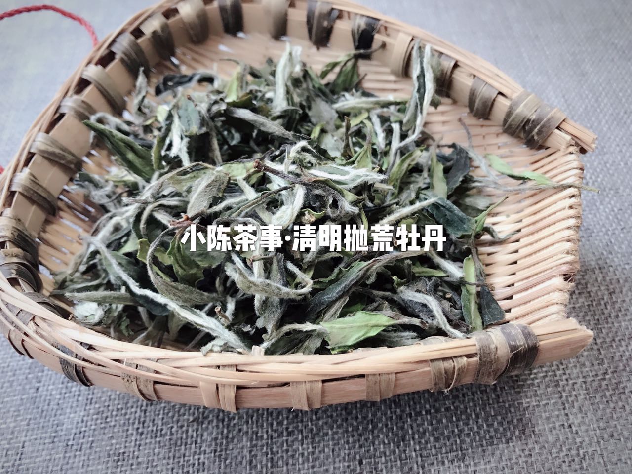 想了解白茶，花五分钟读完白茶这十个特点！