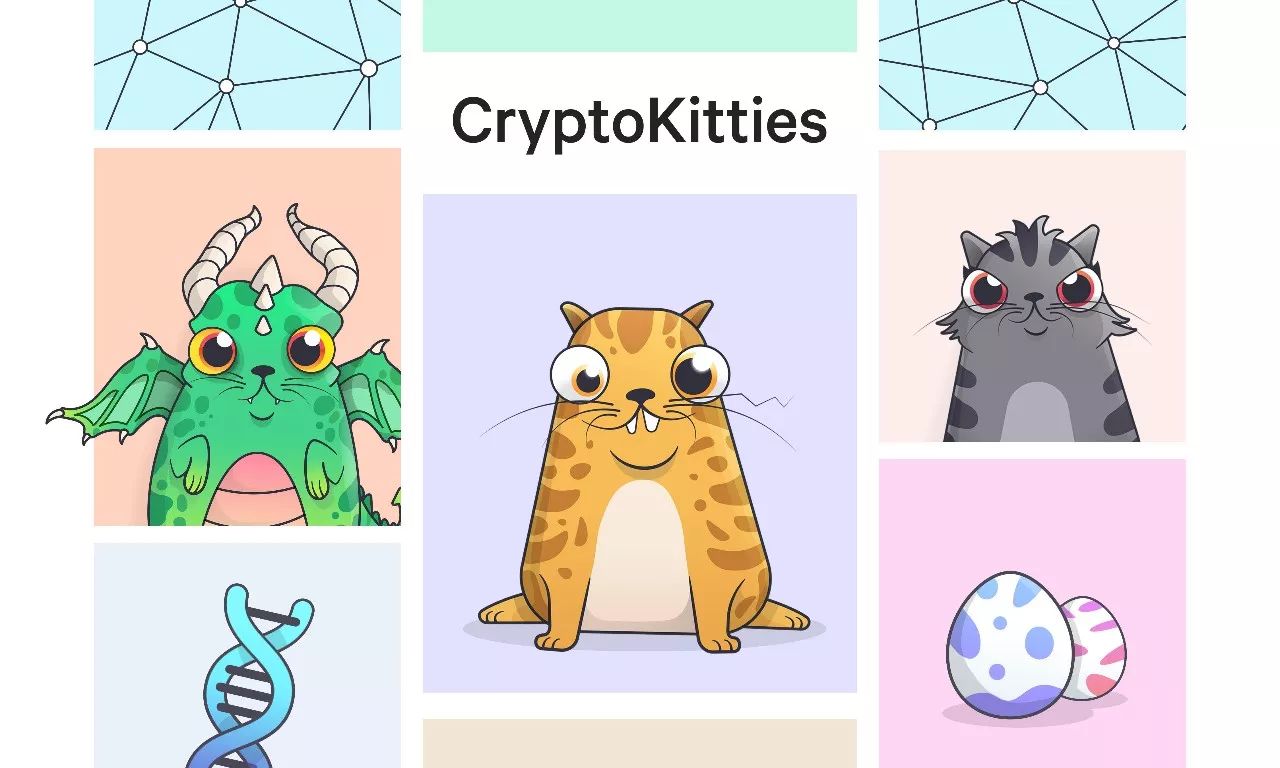 以太坊养猫详解,云养猫以太坊最新消息