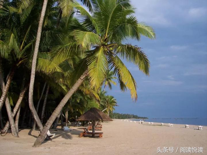 海南东郊椰林旅游攻略,海南静谧的椰林