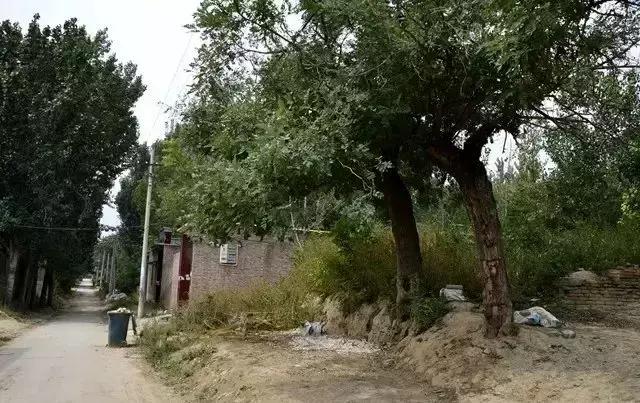 「乡愁」东古城乜村：究竟这个字如此奇特还沿用了上千年！