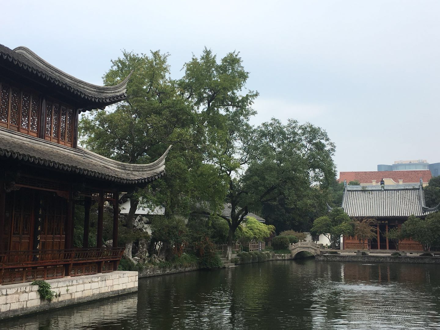 这棵银杏树，经历过湘军烧毁太平天国天王府的那把大火吗？