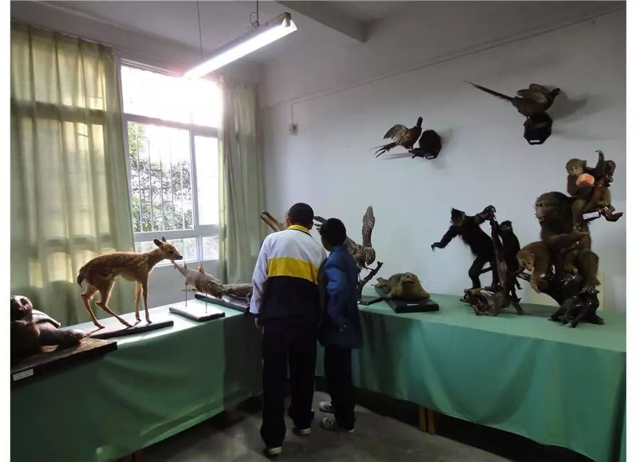 福州杨桥中学和桔园四中哪个好,福州杨桥中学好还是十八中好