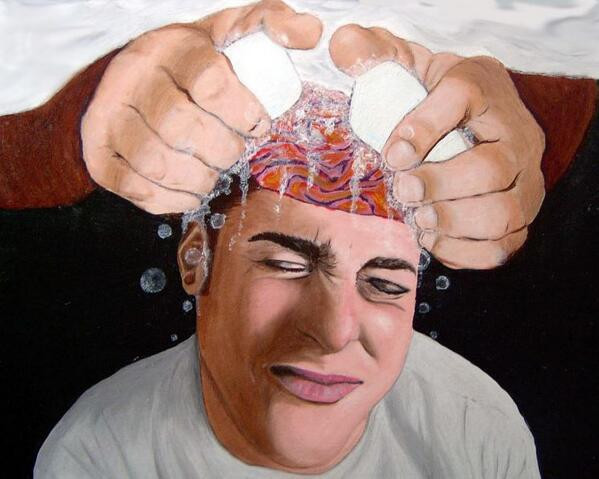 二哈为什么被公认为傻狗,二哈真的没有野性么