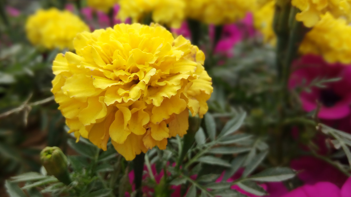 泉城诗画——360手机f4相机体验