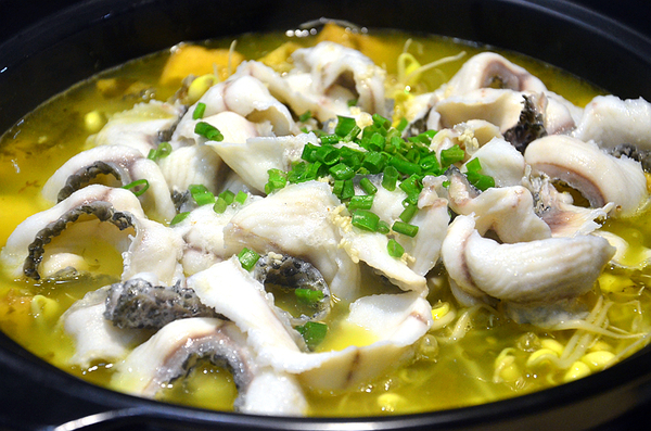 七秒鱼的记忆完整版,七秒记忆的鱼七秒记