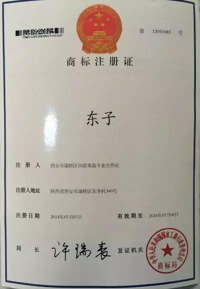 白鹿原采摘大樱桃,去白鹿原采摘樱桃