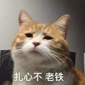 刘雯章子怡电影,刘雯章子怡