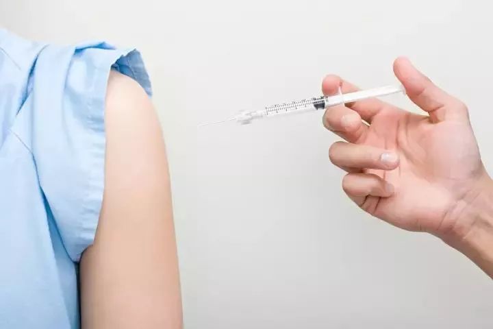 下辈子我只想做一只猪,下辈子我只想做一个俗人