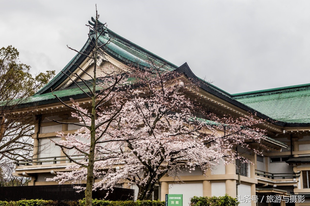 认识日本瓷器,认识日本国旗