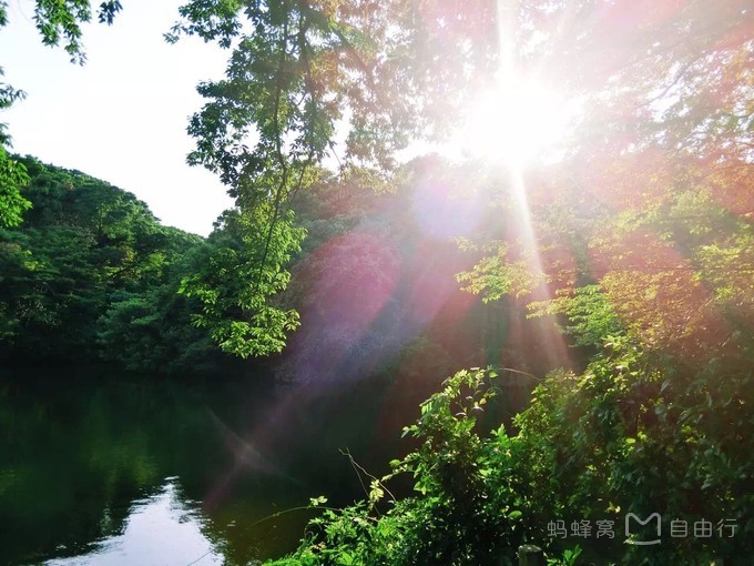 明治神宫参观,明治神宫和哪些景点一起游览好玩
