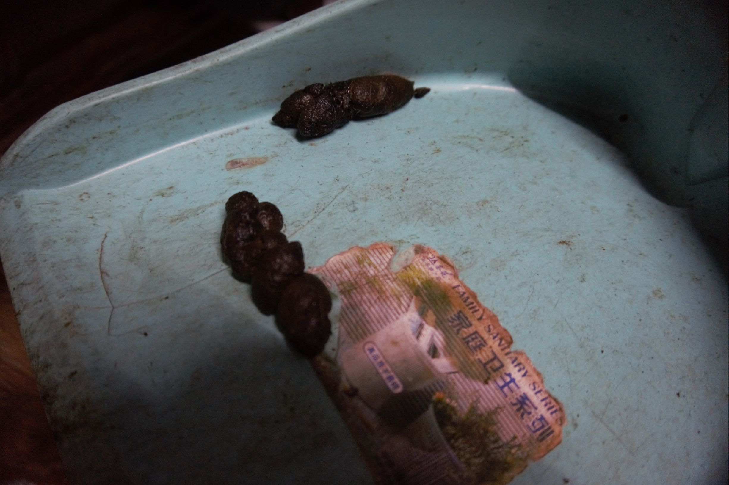 狗粮怎么选进口国产狗粮测评,进口国产狗粮测评