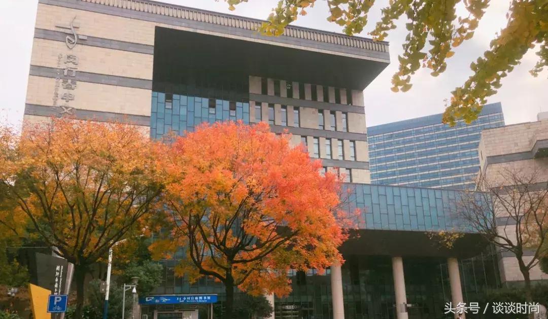 女生必入平价神仙绝美眼影盘推荐,平价神仙绝美眼影盘推荐