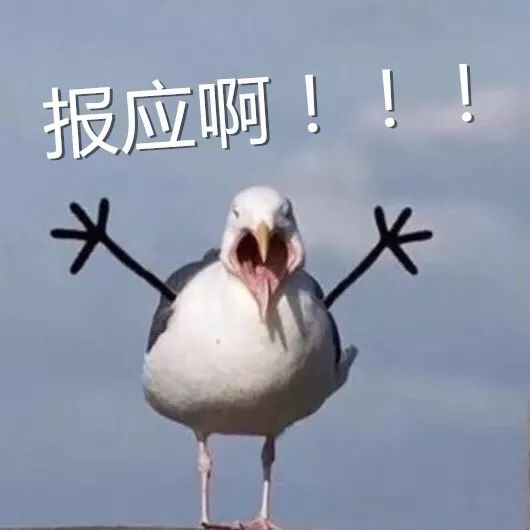 最容易脱发的专业排名,大学最容易头秃的专业top10