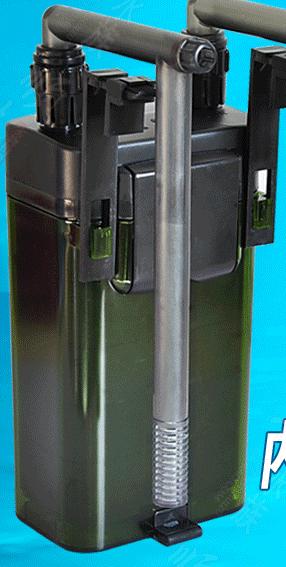 新手养草缸鱼,草缸新手入门