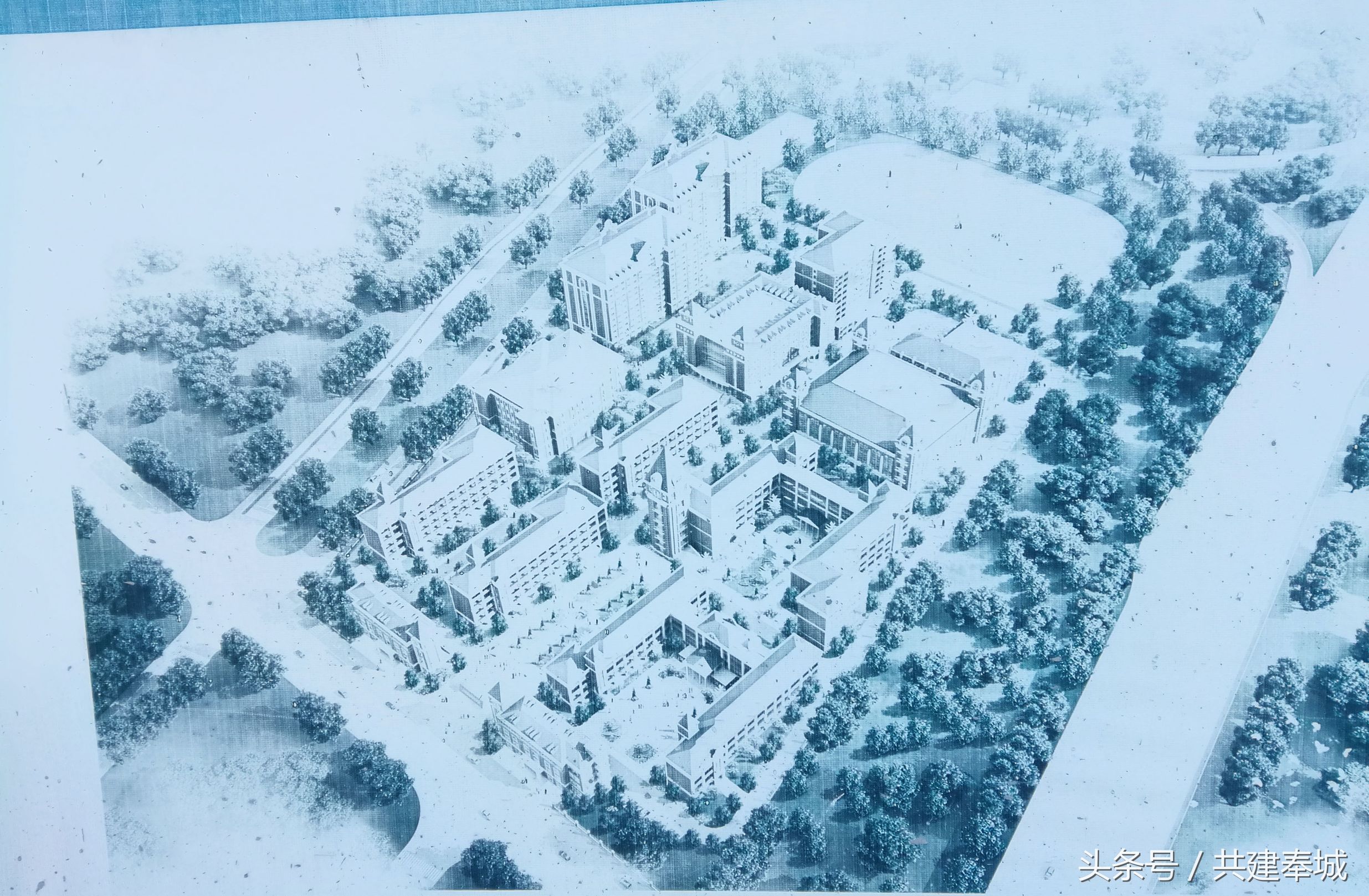 奉贤洪庙爱迪国际学校,上海奉城镇爱迪双语学校