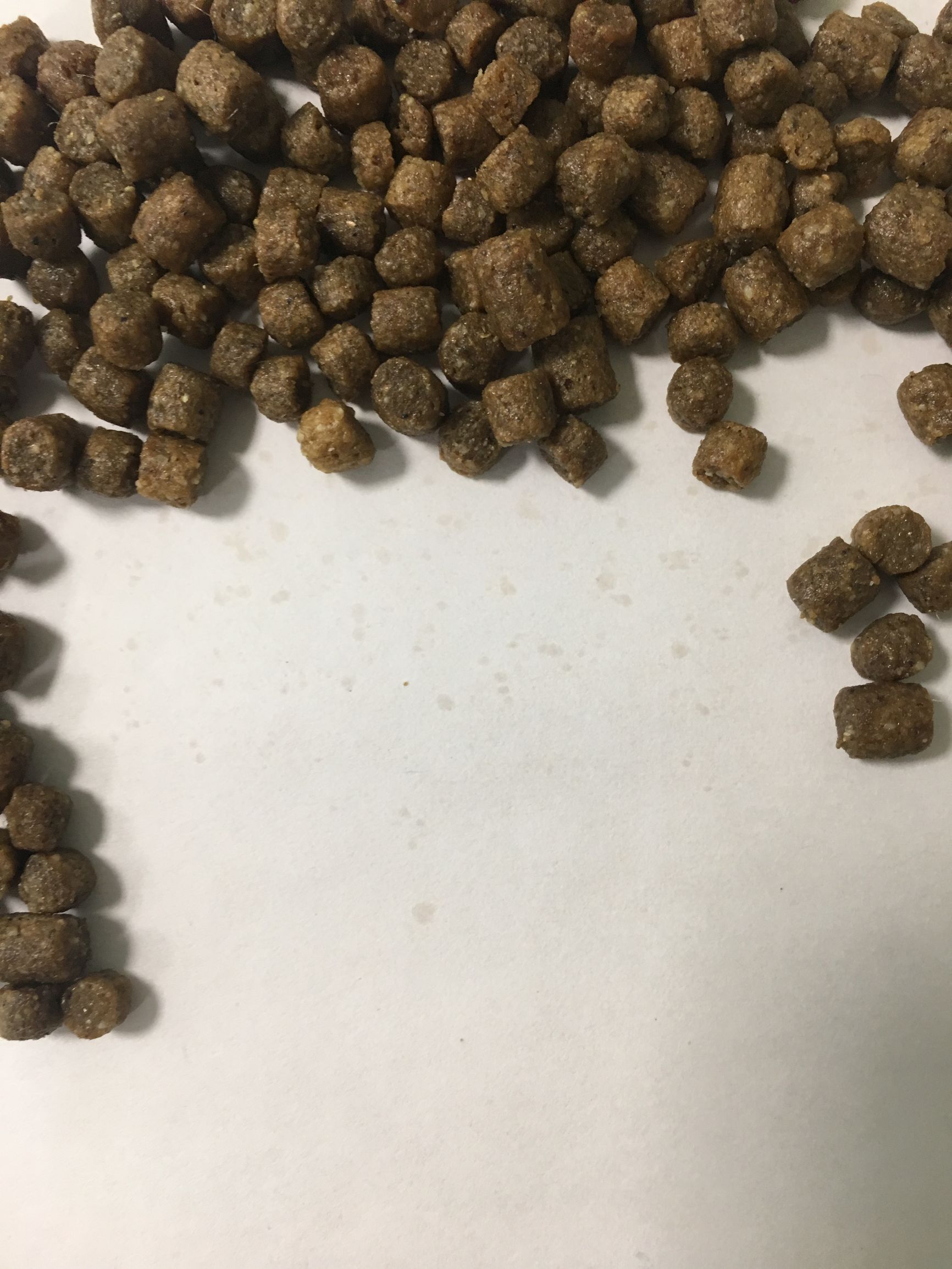 狗粮怎么选进口国产狗粮测评,进口国产狗粮测评