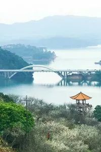 深圳周末活动,广州本周末活动