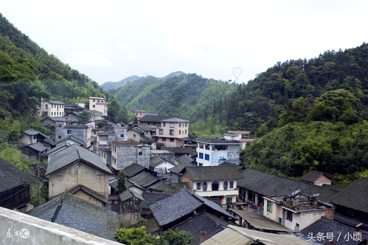 农村创业赚钱项目,农村创业做什么最赚钱