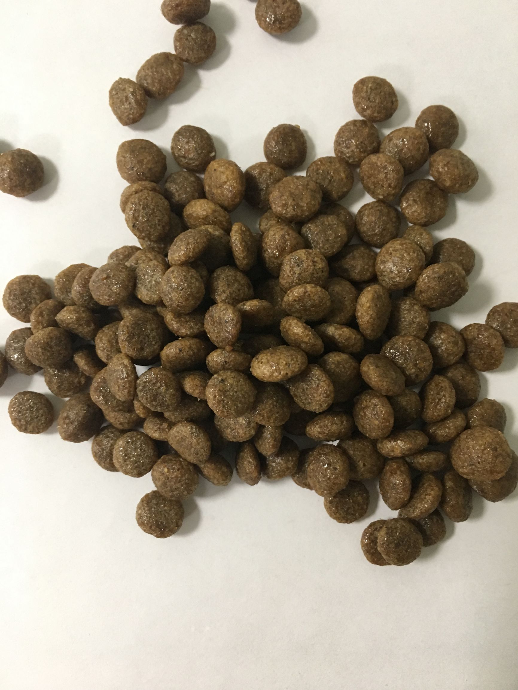 狗粮怎么选进口国产狗粮测评,进口国产狗粮测评