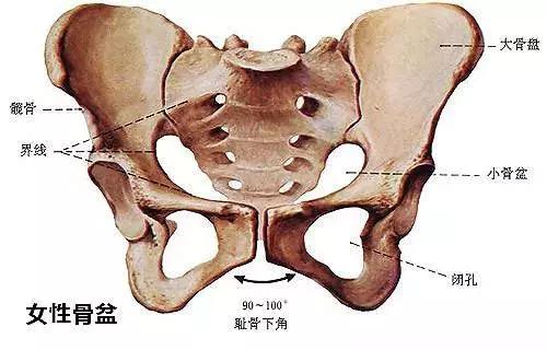 哪些人不适合做产后骨盆修复,不做骨盆修复自己能恢复好吗