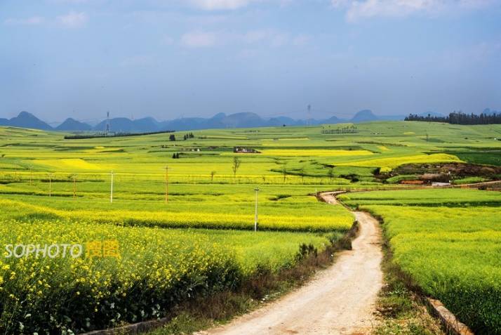 图片摄影师怎么赚钱,图片库摄影师一个月收入