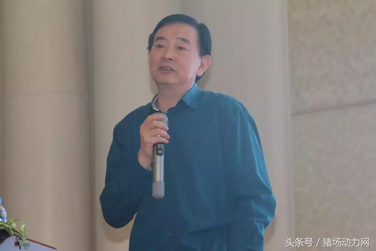 九鼎集团一年盈利,九鼎饲料销量