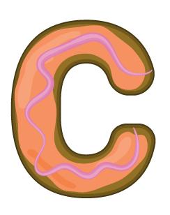 2020年十大美妆品牌,美妆单品排行榜最新