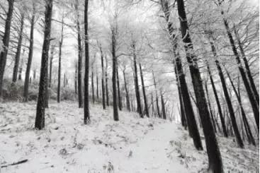 杭州大明山滑雪,杭州的雪什么时候来