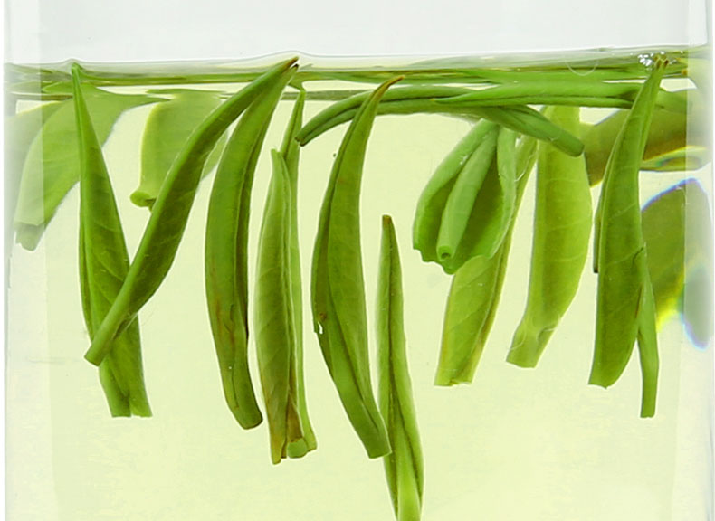 金坛雀舌茶如何冲泡,九龙营养课堂