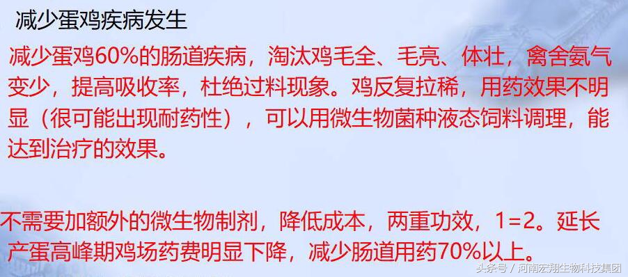 养鸡成活率低怎么解决,产蛋率下降了怎么快速提上去