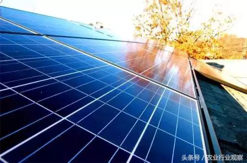 全国农业发展十大机遇,中国农业十大进展